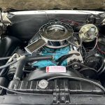 1964 Pontiac GTO 389 V8 Numbers Matching - $49,500 (4121 Lexington Road Paris, KY 40361)
